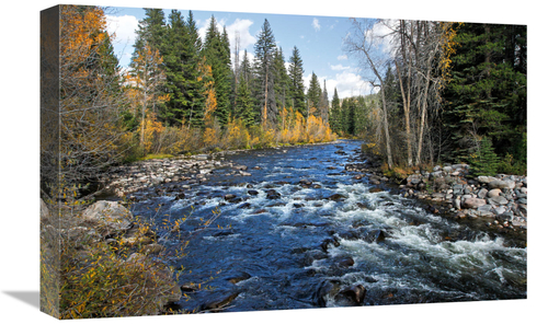 Global Gallery GCS-486629-22-142 22 in. The Elk River Art Print - Vic 