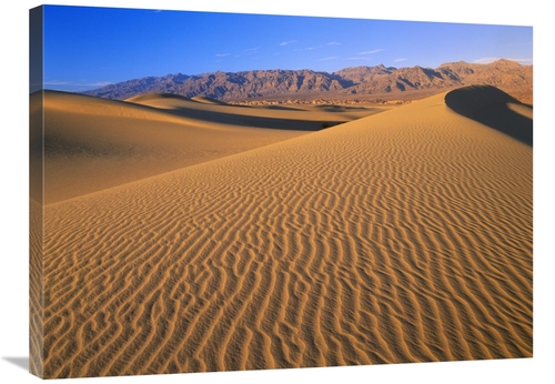 Global Gallery GCS-396647-2432-142 24 x 32 in. Mesquite Flat Sand Dune