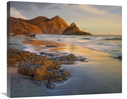 30 in. Bean Hollow Beach, Big Sur, California Art Print - Tim 