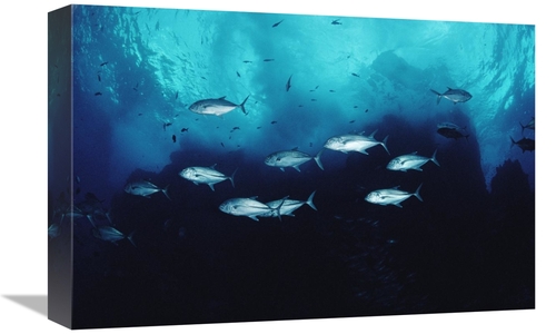 Global Gallery GCS-450744-1218-142 12 x 18 in. Cavalla School Patrolli