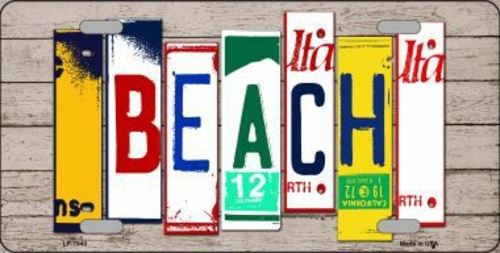 Smart Blonde LP-7940 Beach Wood License Plate Art Novelty Metal Licens