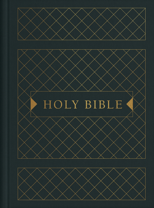 KJV Cross Reference Study Bible [Diamond Spruce]  