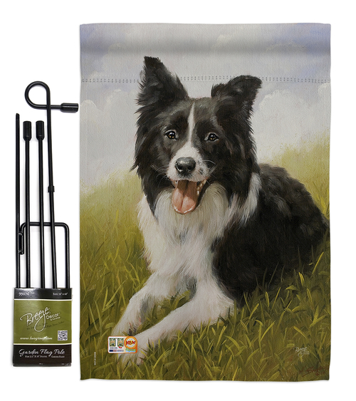 Breeze Decor BD-PT-GS-110077-IP-BO-D-US14-AL 13 x 18.5 in. Border Coll