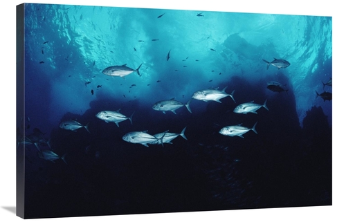 Global Gallery GCS-450744-2436-142 24 x 36 in. Cavalla School Patrolli