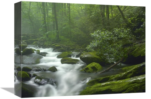 Global Gallery GCS-397101-1216-142 12 x 16 in. Roaring Fork River Flow