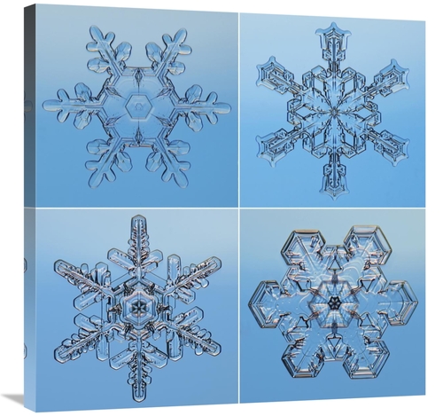 Global Gallery GCS-397283-3030-142 30 x 30 in. Snowflakes Seen Through