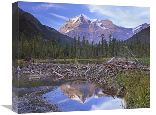 16 x 20 in. Beaver Dam & Mount Robson, Mount Robson Provincial Par