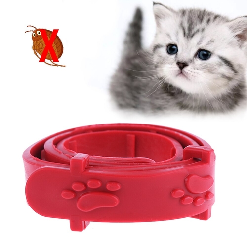 1PCS Red Adjustable Outdoor Dog Cat Rabbit Neck