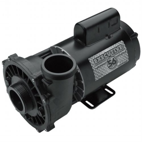 Gecko Alliance 3711621-1D Executive 56 Frame 4 HP Spa Pump- 230 V