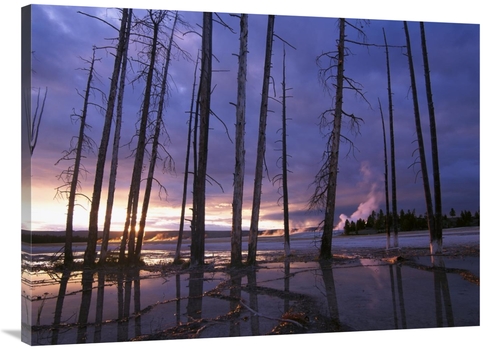 Global Gallery GCS-452051-3040-142 30 x 40 in. Dead Trees in Lower Gey