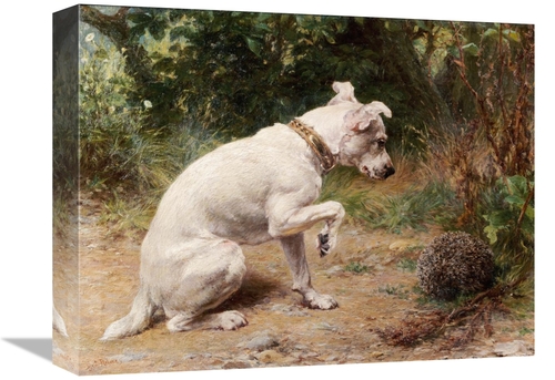 Global Gallery GCS-266574-16-142 16 in. A Prickly Problem Art Print - 