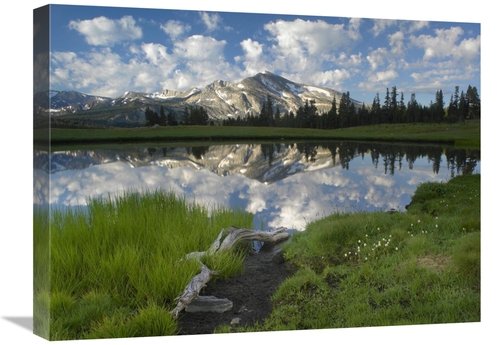 Global Gallery GCS-397077-1824-142 18 x 24 in. Mammoth Peak & Scattere