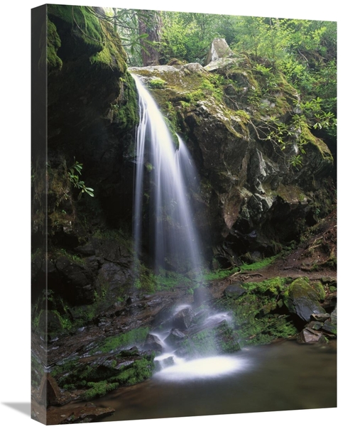 Global Gallery GCS-452030-1824-142 18 x 24 in. Grotto Falls & Roaring 