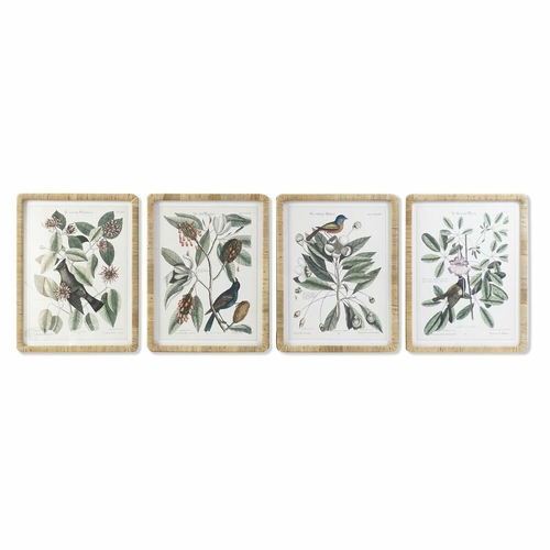 Painting DKD Home Decor 50 x 2,5 x 65 cm Shabby Chic Botanical plants