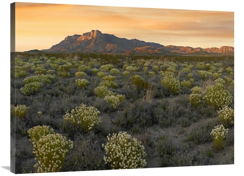 Global Gallery GCS-396960-3040-142 30 x 40 in. Pepperweed Meadow Benea