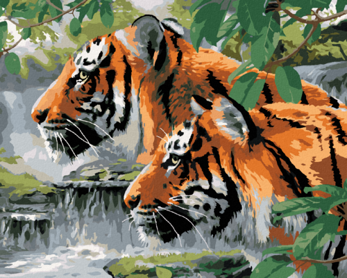 Paint by Numbers - TIGERS LURKING BY THE RIVER (HOWARD ROBINSON)