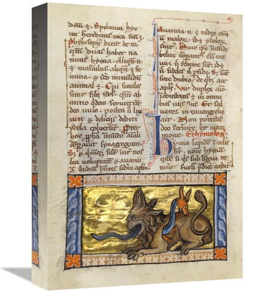 Global Gallery GCS-454753-1216-142 12 x 16 in. A Crocodile & a Hydrus 