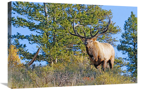 Global Gallery GCS-486464-30-142 30 in. The Overwatch Art Print - Vic 