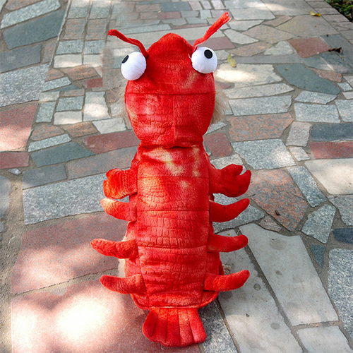 Lobster Pet Costume