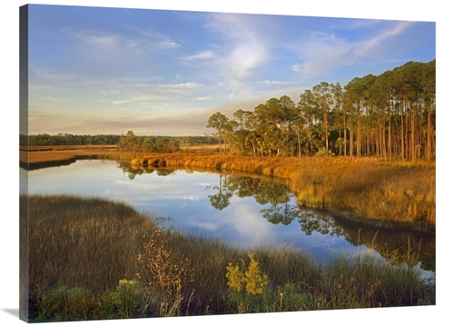 Global Gallery GCS-395992-3040-142 30 x 40 in. Lake Near Apalachicola&
