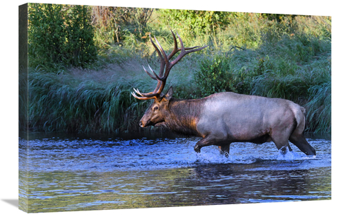 Global Gallery GCS-486460-30-142 30 in. Crossing the River Art Print -