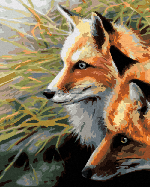 Zuty - Paint by Numbers - FOXES IN THE GRASS (JOE HAUTMAN), 40x50 cm