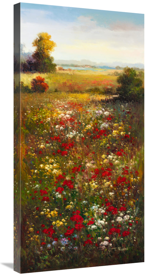 Global Gallery GCS-39431-1836-142 18 x 36 in. Wildflower Meadow II Art