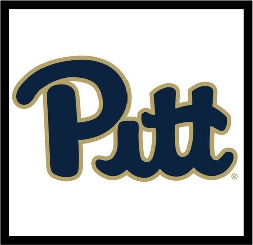 3 Inch Cloth  Patch University Of Pittsburg