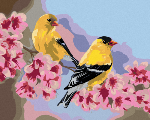 Zuty - Paint by Numbers â€“ BIRD ON A BRANCH WITH PINK FLOWERS