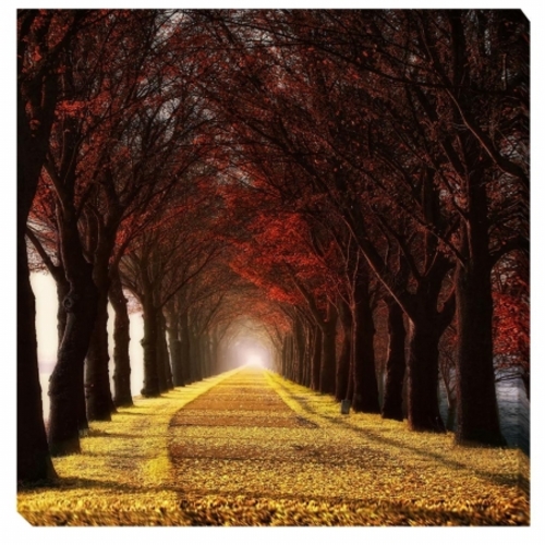 Artistic Home Gallery 2424327G Wonder Curve Canvas Artwork - 25 in.
