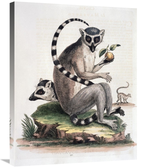 Global Gallery GCS-277465-30-142 30 in. Le Maucuaco Art Print - George