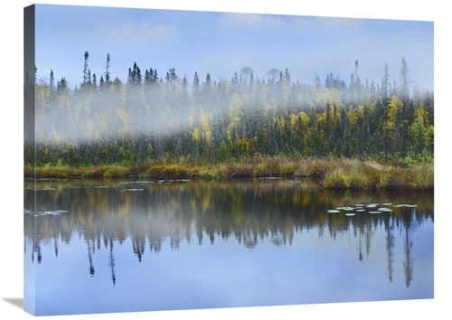 Global Gallery GCS-395984-2432-142 24 x 32 in. Fog Over Lake, Onta