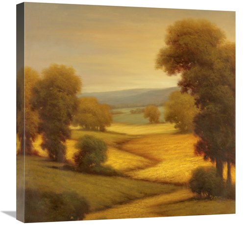 Global Gallery GCS-130146-2424-142 24 x 24 in. Amber Outlook I Art Pri