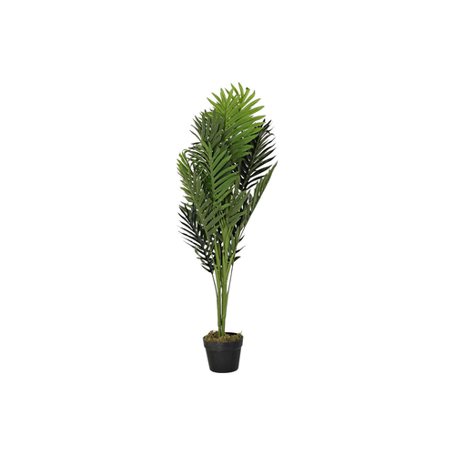 Decorative Plant DKD Home Decor Palm tree 40 x 40 x 100 cm