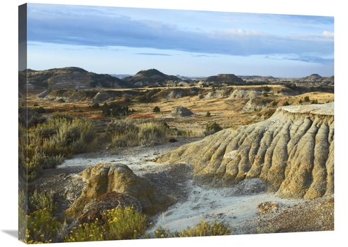 Global Gallery GCS-396742-2432-142 24 x 32 in. Badlands, South Uni