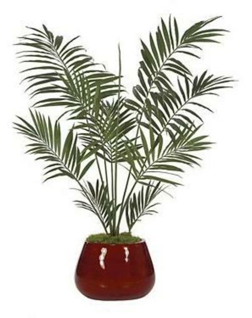 Autograph Foliages P-2420 - 6.5 Foot Kentia Palm Tree - Green