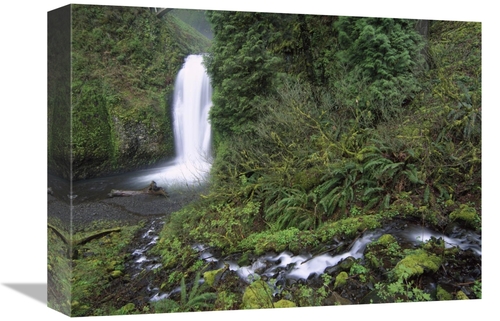 Global Gallery GCS-397146-1216-142 12 x 16 in. Multnomah Falls Cascadi