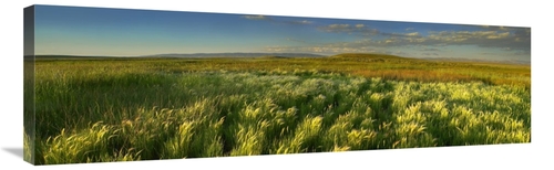 Global Gallery GCS-396421-40-142 40 in. Grasslands, Arapaho Nation