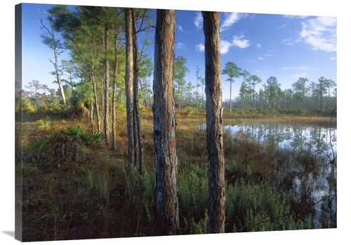 Global Gallery GCS-396810-3040-142 30 x 40 in. Pond Near the Loxahatch