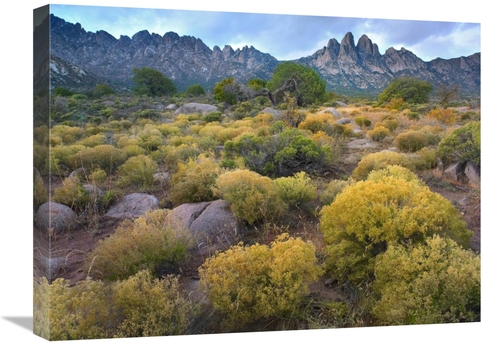 Global Gallery GCS-396217-1824-142 18 x 24 in. Organ Mountains, Ch