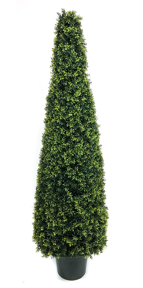 Autograph Foliages AUV-181590 6 ft. UV Dwarf Boxwood Cone Topiary,
