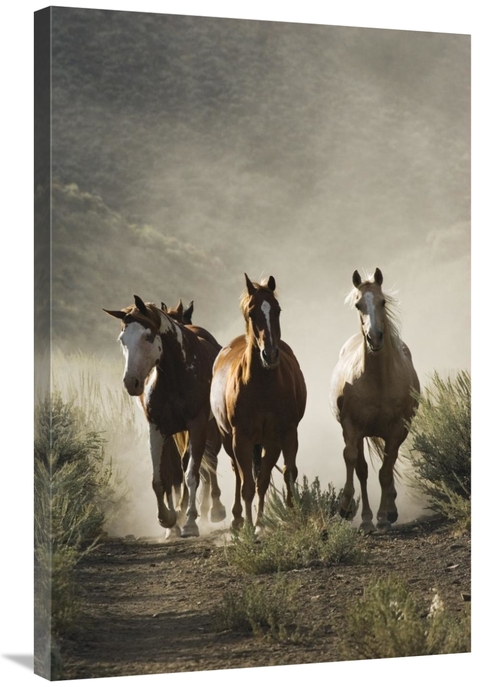Global Gallery GCS-452593-2436-142 24 x 36 in. Horse Group of Four App