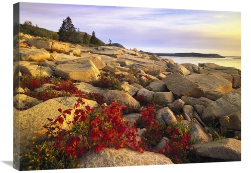 Global Gallery GCS-396571-2432-142 24 x 32 in. Atlantic Coast Near Thu