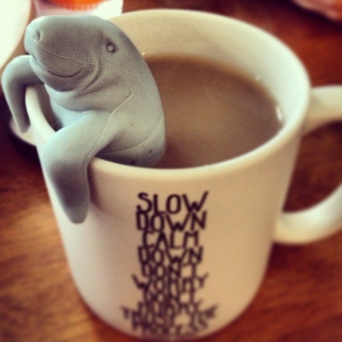 Manatea Tea Infuser