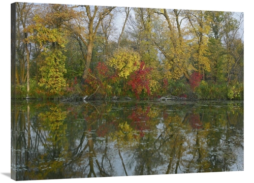 Global Gallery GCS-396825-3040-142 30 x 40 in. Autumn Reflection on Ma
