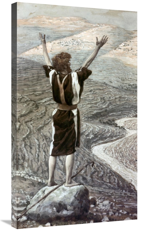 Global Gallery GCS-280552-36-142 36 in. Voice in the Desert Art Print 