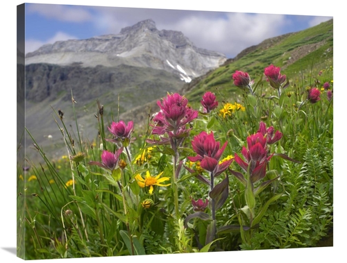 Global Gallery GCS-396231-2835-142 28 x 35 in. Paintbrush Flowers,