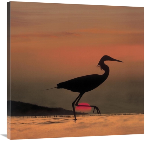 Global Gallery GCS-396163-3636-142 36 x 36 in. Little Egret Silhouette