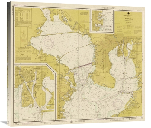 Global Gallery GCS-450534-36-142 36 in. Nautical Chart - Tampa Bay - N