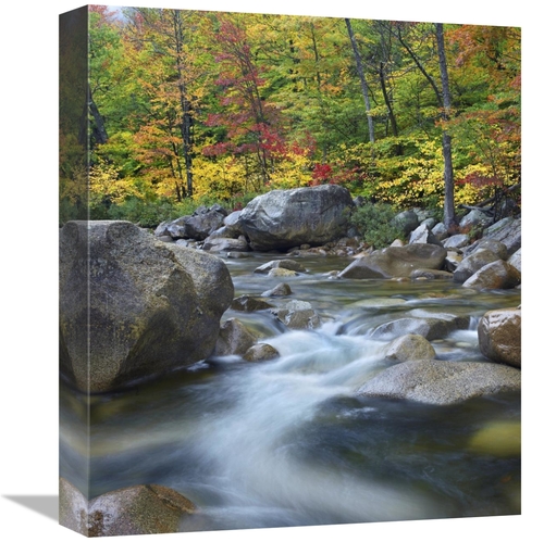 Global Gallery GCS-452248-16-142 16 in. Swift River in Fall, White